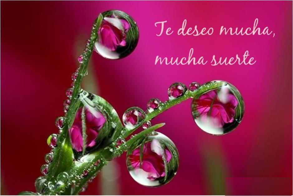 A quien lucha y suda, la suerte le ayuda. Mucha suerte para todos.