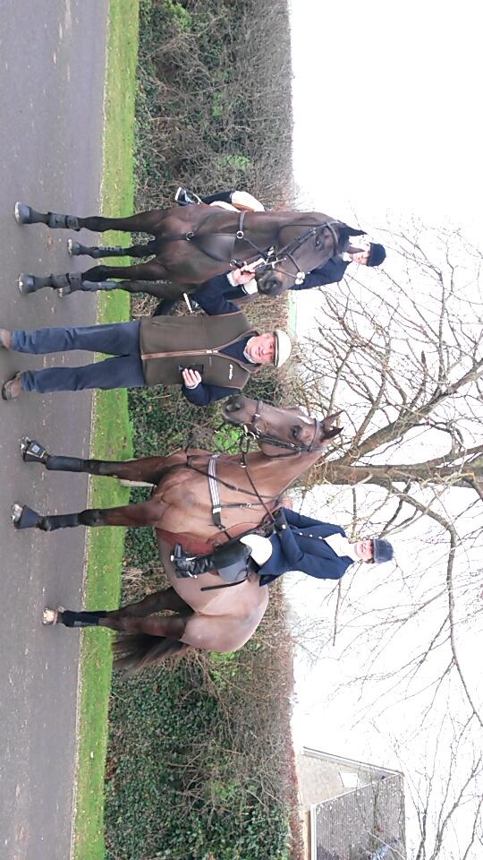meg_nicholls97's tweet photo. Big Buck's and Denman both looking amazing and loving life. @PFNicholls is very proud and delighted to see them out! http://t.co/tfC5ypJSNK