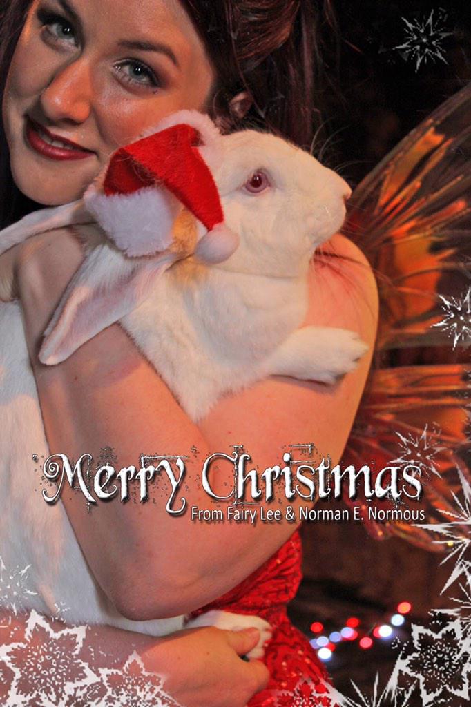 leecohenmagic's tweet photo. Merry Christmas! http://t.co/sTYlkXZfjj