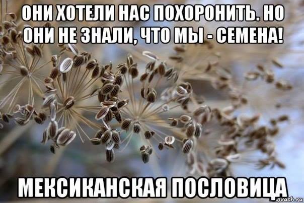За минувшие сутки двое украинских военных получили ранения, - спикер АТО - Цензор.НЕТ 5013