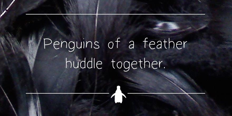 Who wants a huddle? #MontyThePenguin