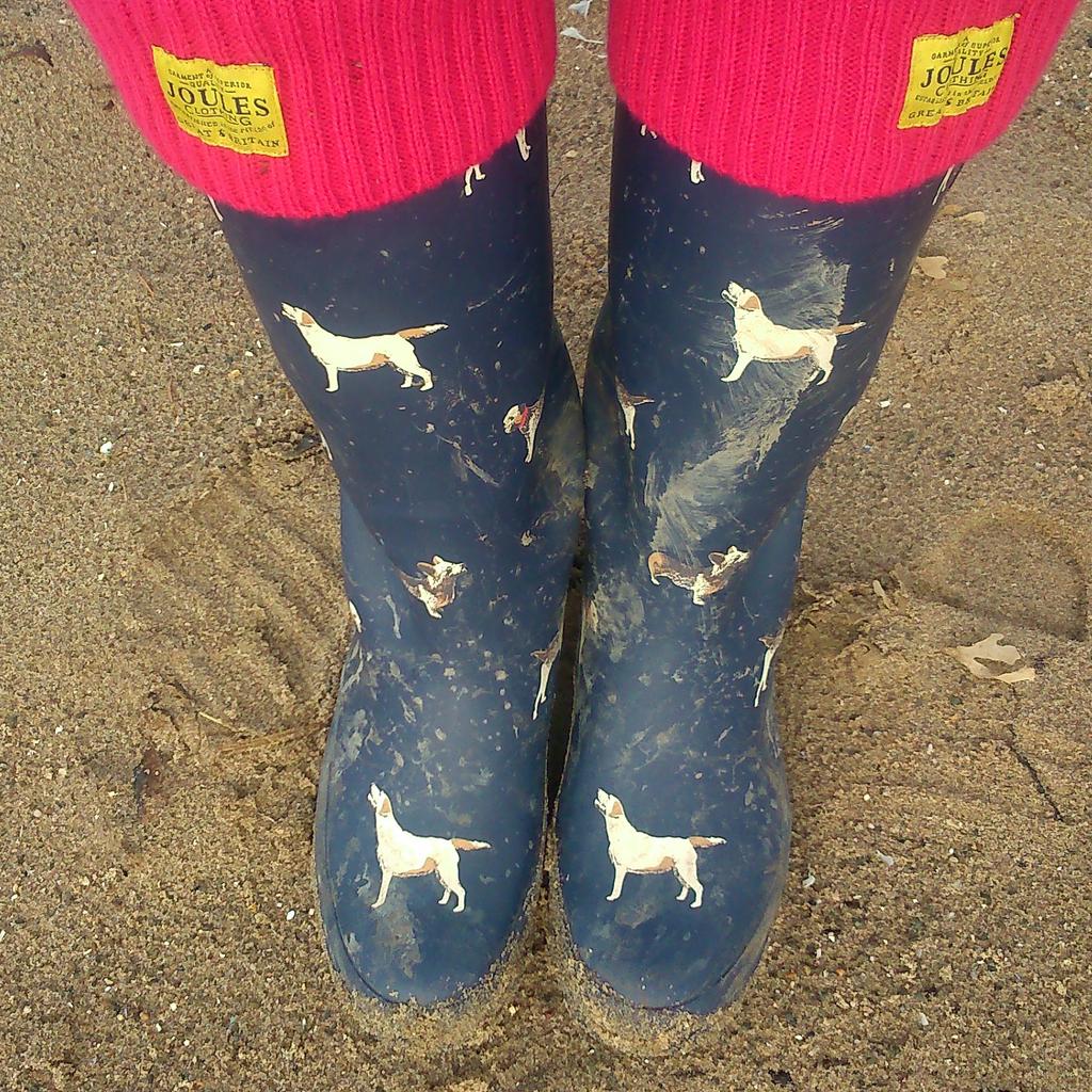 staffiewalking's tweet photo. How much do I LOVE my new staffie walking gear? @Joulesclothing wellies from the hubby! http://t.co/yJ5PmFCU3n