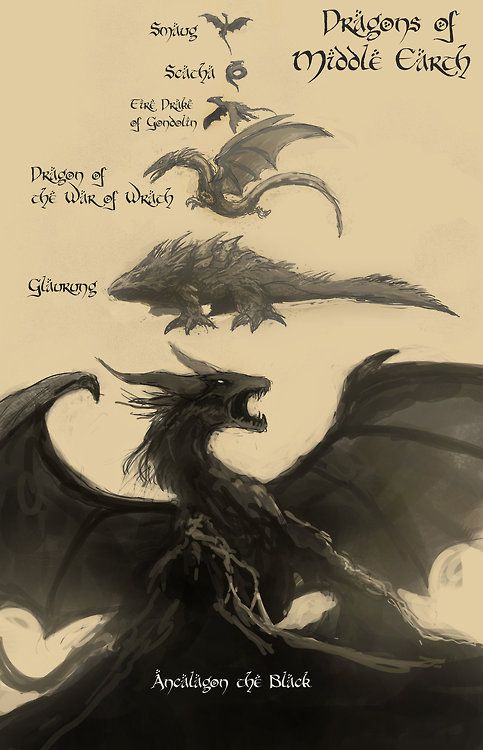 DES_perate's tweet photo. Little baby Smaug. #DragonsOfMiddleEarth http://t.co/TLaC0i1Gap