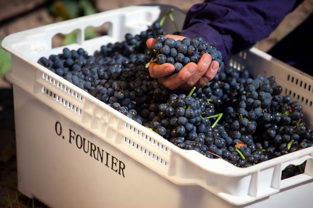 "If you go back to the Greeks and Romans, they talk about wine, food, and art as a way of enhancing life."
-Mondavi