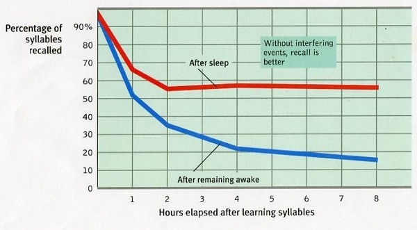 DataLiberated's tweet photo. How Naps Affect Your Brain and Why You Should Have One Every Day http://t.co/x66fUiuYtW http://t.co/MfF7DM8iAR