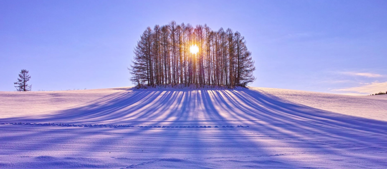 BeHapiNow's tweet image. Rise n Shine! Give thanks for another day! Move yr Gratitude needle a bit for the sake of ALL #Behapi #happiness