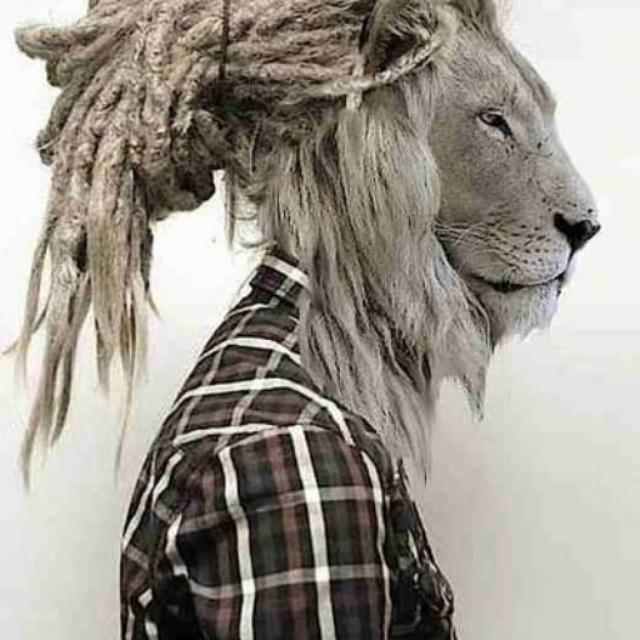 A Abdelmuneim (@a_abdelmunim) on Twitter photo 