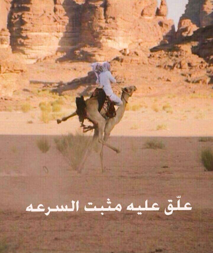 منيف السهيمي (@f96b15d75aa24bd) on Twitter photo 