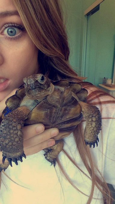 meet turt🐢❤️ http://t.co/TyxEetDGKF<a href="/tag/brokecollegekid"class="tags"><span>#brokecollegekid</span></a>