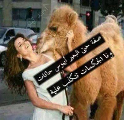 or170's tweet photo. وينك سارة http://t.co/lPWUUxS2s4