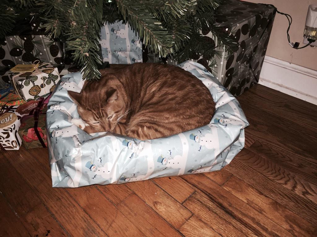 MichaelDAClarke's tweet photo. Someone has worked out what they're getting for Christmas. http://t.co/TxExg7144L