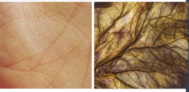 Just... http://t.co/LGEHZ1YNhv<a href="/tag/bigboobperks"class="tags"><span>#bigboobperks</span></a>