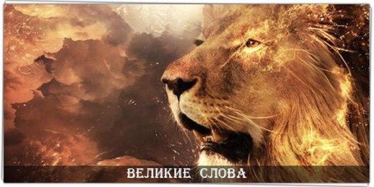 Лучше прожить один день львом, чем сто лет овцой.