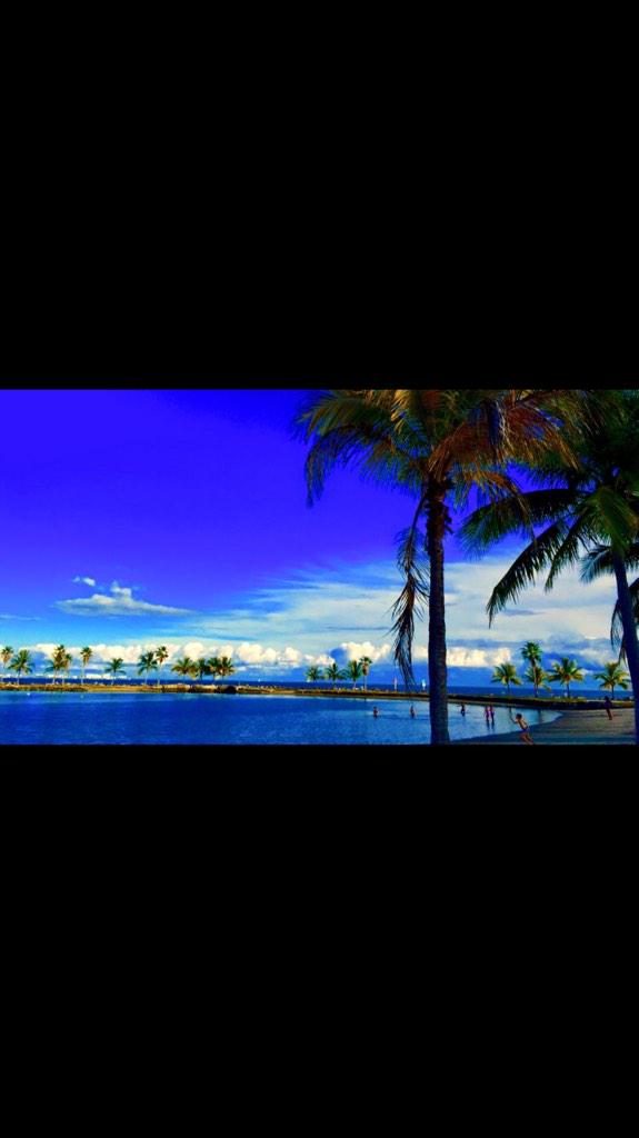 sofloaccess's tweet photo. Only in #Miami this morning #305 #sofloaccess #VIPAccess #photogEstelaMederos http://t.co/htb2z9qTtU