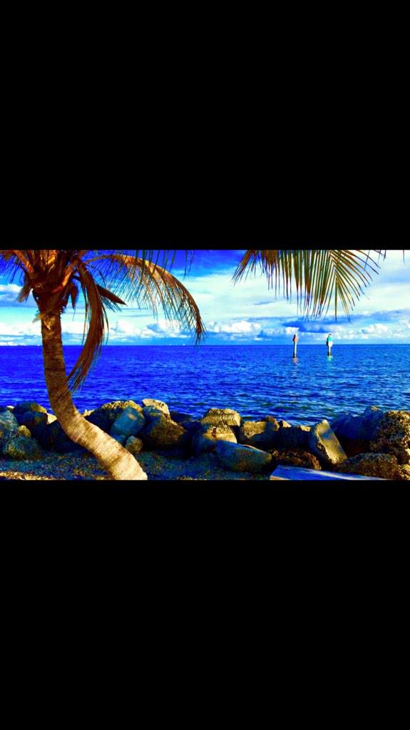 sofloaccess's tweet photo. Only in #Miami this morning #305 #sofloaccess #VIPAccess #photogEstelaMederos http://t.co/htb2z9qTtU
