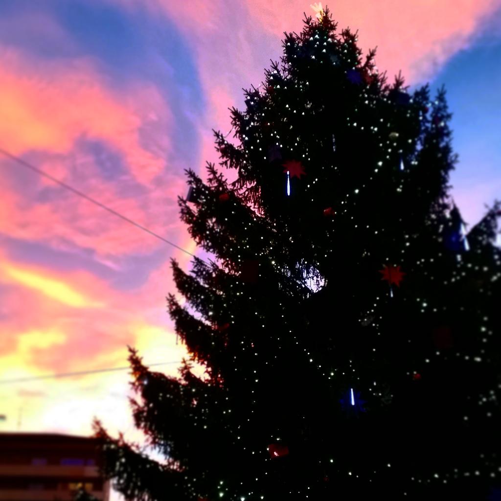 d__ceri's tweet photo. Sige bald Wiehnächto hensch gseit... #manmunkelt 🎄 http://t.co/KqunLJ9BA2