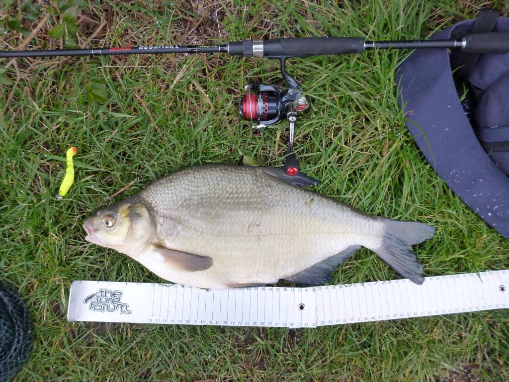 @walsallangler One of the least lifelike lures in my box! it was a yellow Dragon shad on a 5g jighead.