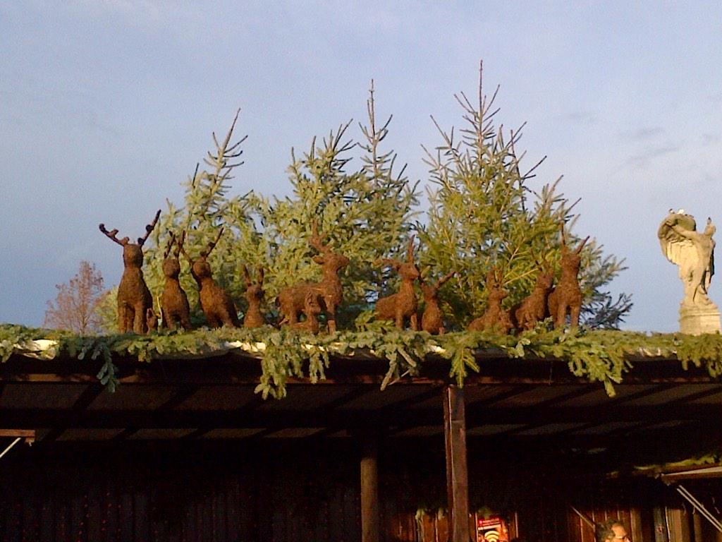 Christmas Market Constance, Germany