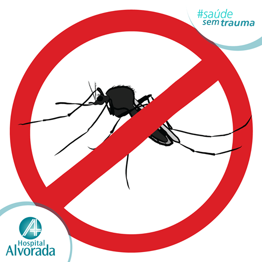 Hosp_Alvorada's tweet photo. Não deixe pneus, garrafas e vasos dando sopa no quintal e lacre bem a caixa d'água. Dengue é coisa séria. http://t.co/PFRTfH88ak