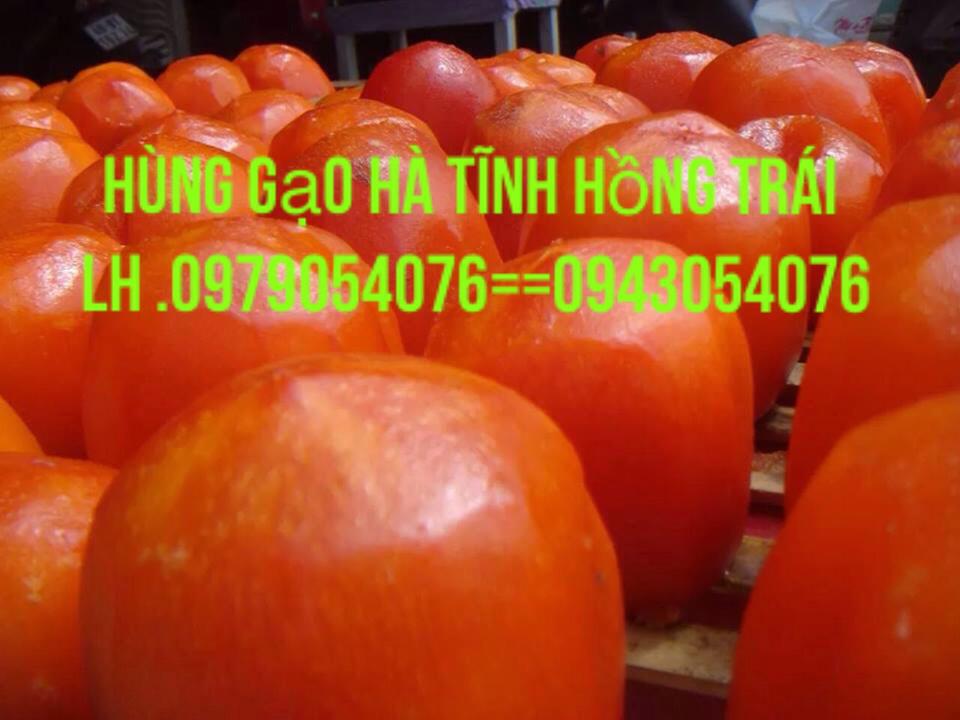 phamvanhung868's tweet photo. Alo số trên hình nhé +840979054076 http://t.co/nMwfuarUxX