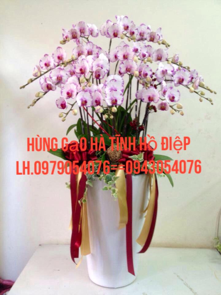 phamvanhung868's tweet photo. Alo ngay để có tận tay nhé http://t.co/CFQ3iSFnat