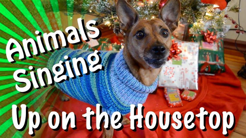 TalkingAnimals's tweet photo. @halopets Merry Christmas and Happy Holidays from the Talking Animals Channel! http://t.co/OJUIc3A9e5 http://t.co/pRmy5SanUR