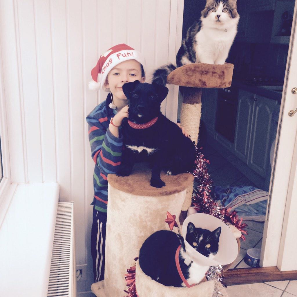 gemz1304's tweet photo. #ITVChristmas http://t.co/Xv8HeibfOY