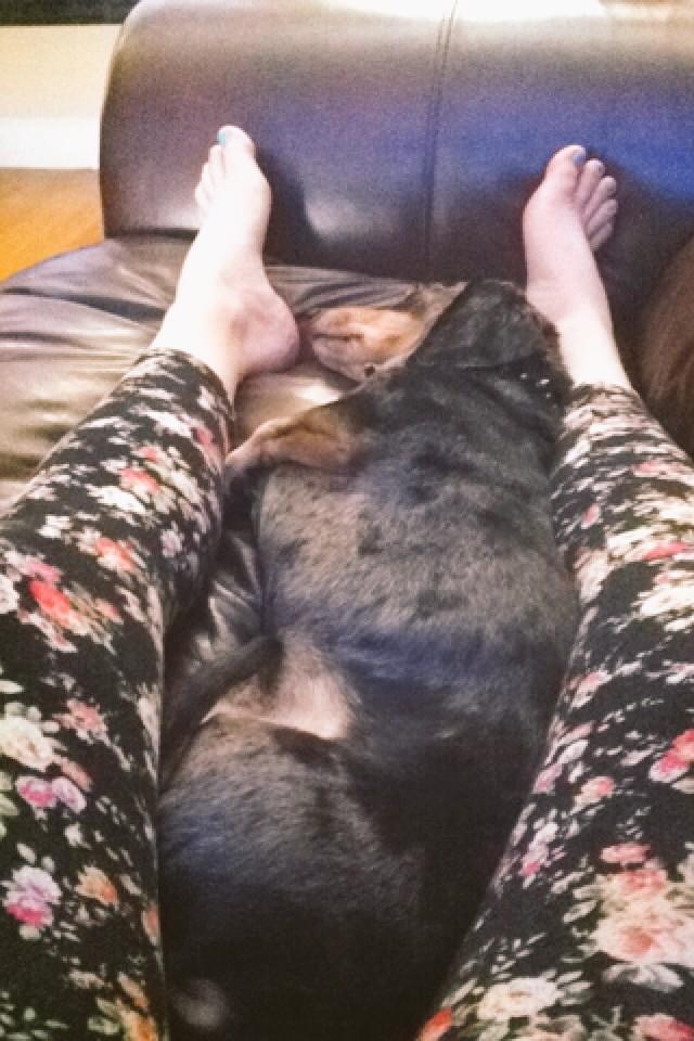 kaylee_ann_007's tweet photo. Riley loves meππΆ #ripoo http://t.co/9cA9BX7n2r