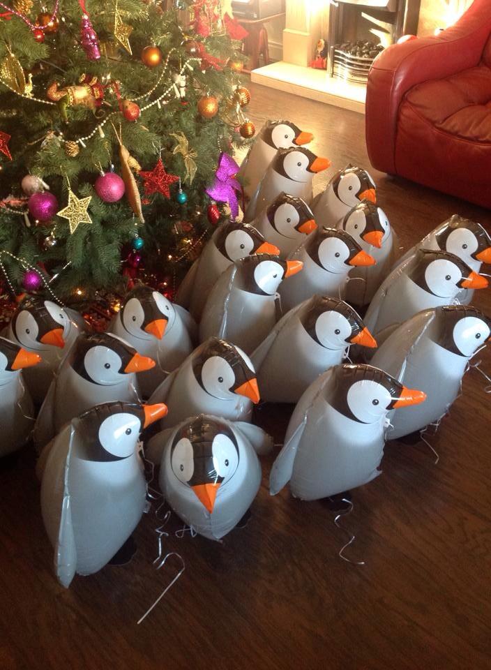 _DaisyDoos's tweet photo. #balloons #party #essex #weddings #frozen #christmas http://t.co/cPYqf7a03v