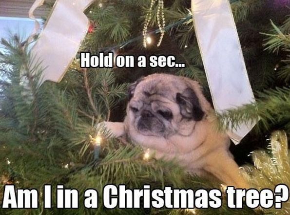 When you drink too much egg nog the night before.