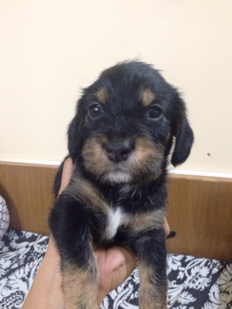 Planning to name her 'dolby'..any suggestions?