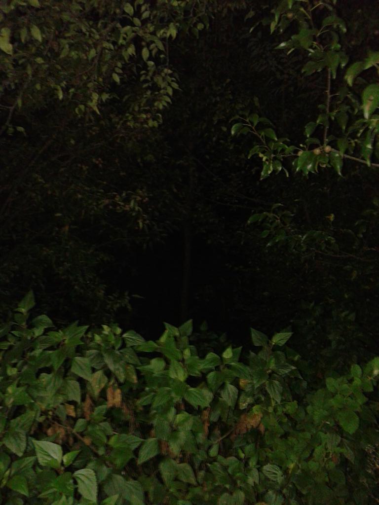 bharatgarrg's tweet image. #DeshKeLiye  Ek tu howe..ek mai howa..dunia to aakhri giii howe thhaa ravidass...#MSGTheFilm