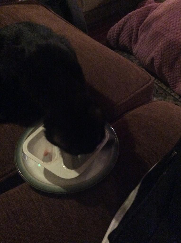 ad_illingworth's tweet photo. @rachoa71 currently eating yoghurt ! http://t.co/ZFxFo2hHp8