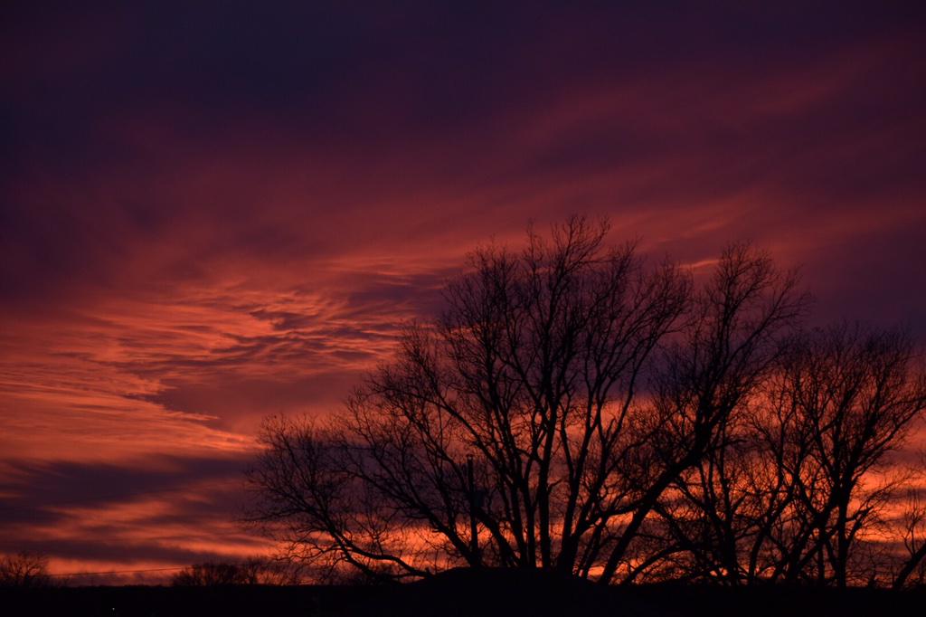 Gotta stop and look at sunsets like this 🌅 
@CBS11Larry @TxStormChasers @TexasSunsets