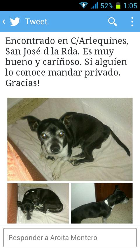 MariTereTorres's tweet photo. "@yaizadd: Compartir xfiiis!!! http://t.co/9924qLy3jv" @LASAnimal @REFUGIOLACANDEL
