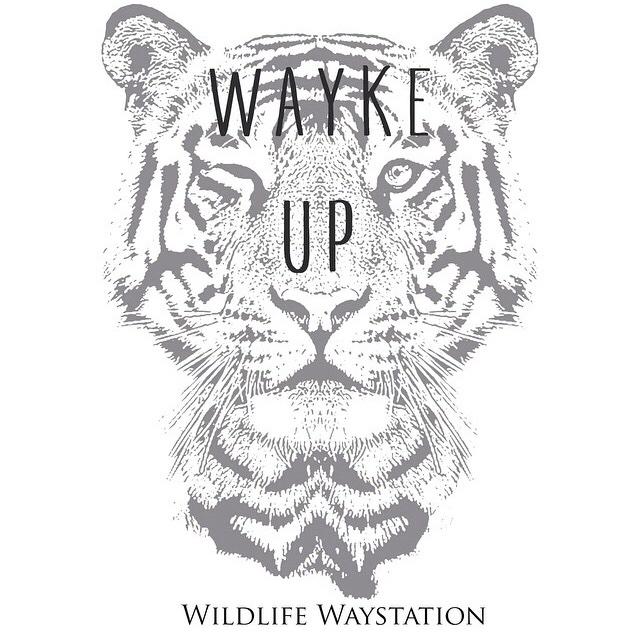 The #WildlifeWaystation needs our help. Please RT & help spread the word
http://t.co/IpJPOY8BeI #waykeup