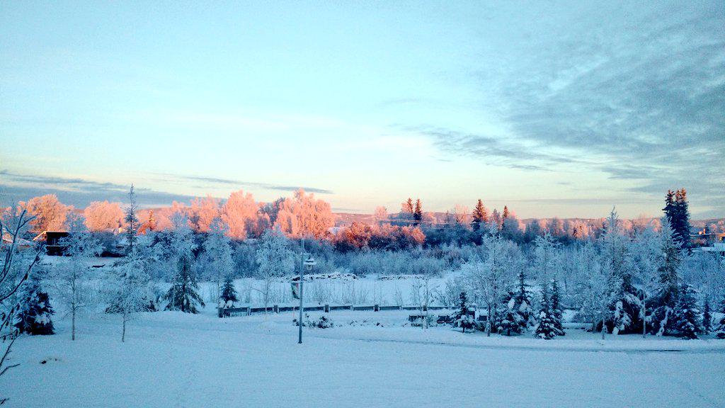 explorfairbanks's tweet photo. Today, days get longer. #winter #Fairbanks, #Alaska #travelpics #HappyMonday #ExploreFairbanks #Solstice2014 http://t.co/gW4k7nF4f9