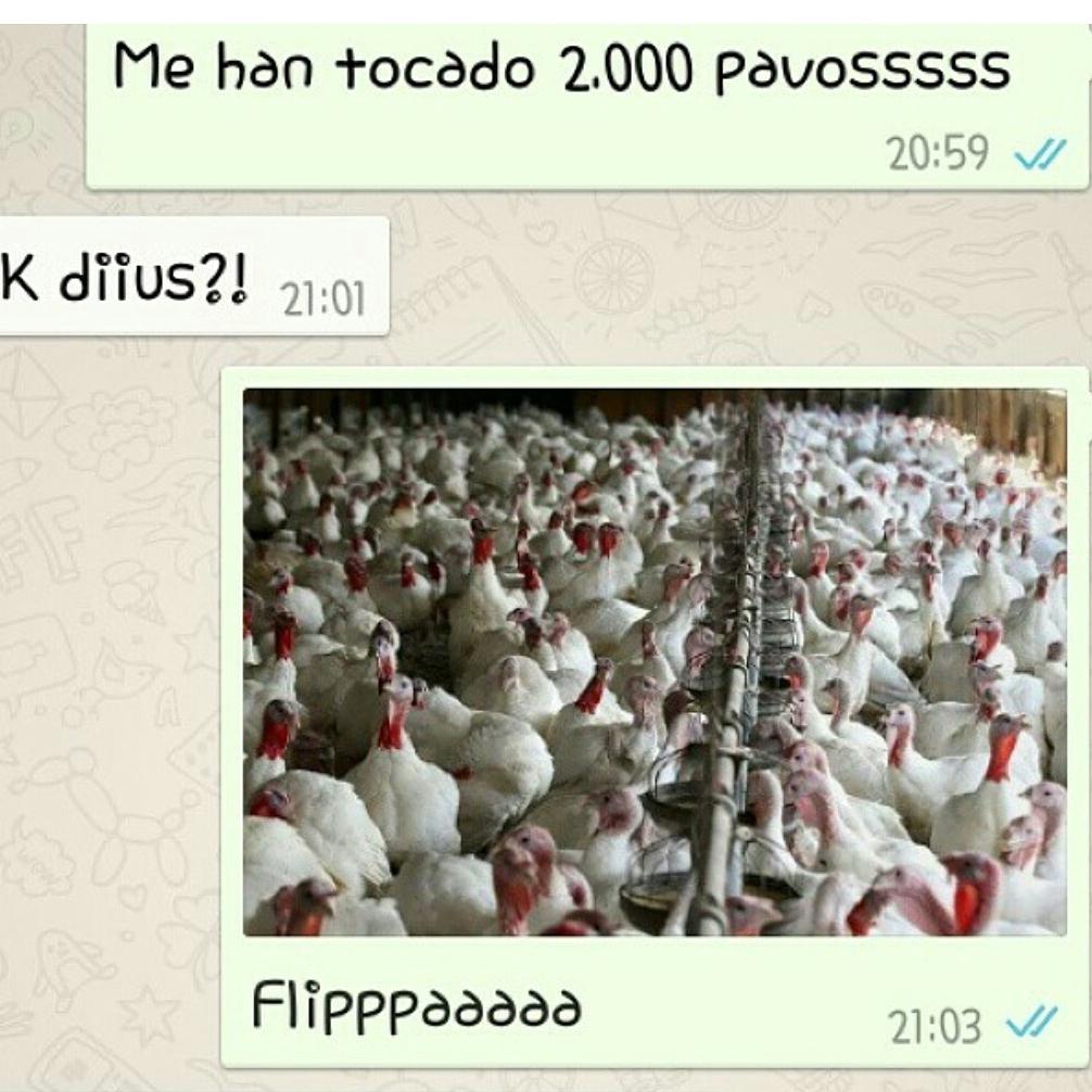 SoyTuWassap's tweet image. Me han tocado 2.000 pavos!!!