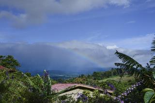 DrJeffBeaudoin's tweet photo. Another beautiful day in Costa Rica. Want a break from the winter?consider joining me for my yoga retreat in February http://t.co/uXF5f47ema