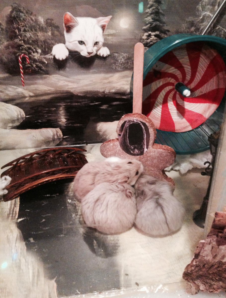 InstilProInc's tweet photo. The "gingerbread" ghost of Christmas Future makes a late appearance. #festiveimaginarium http://t.co/D5JnPh8h4H http://t.co/075DZrlu06