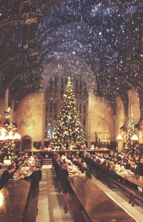 LifeAtTheBurrow's tweet photo. RT if this is where you want to celebrate christmas. http://t.co/Nz99ypow3d