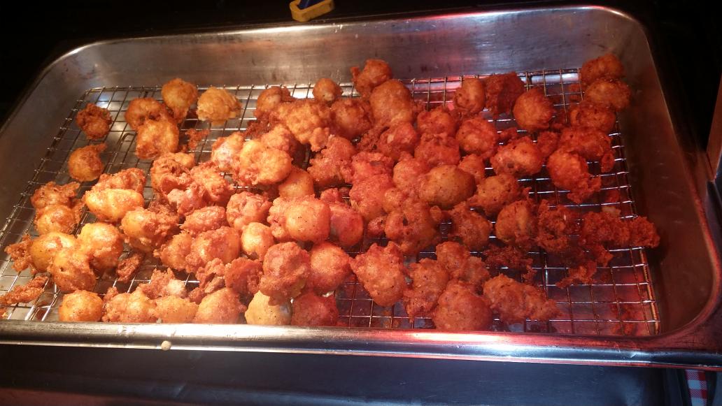 Testical Festival  2015! Has started!  Come have a ball!!