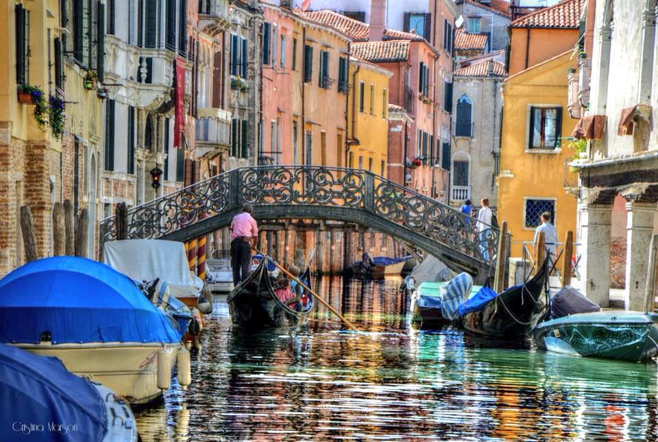 CesareBeatBit's tweet photo. @comunevenezia @GuidaVenezia @visitmuve_it @la_Biennale @venezia24 @VeneziaTravel @RegioneVeneto @Fondoambiente http://t.co/hnnLBZRmib