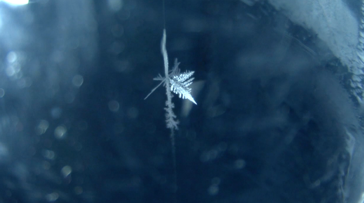 Make your own winter wonderland by growing snowflakes in a soda bottle. scifri.me/ubaarx
