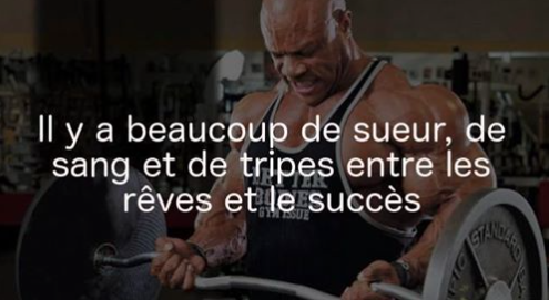 THbestronger's tweet image. vrai..