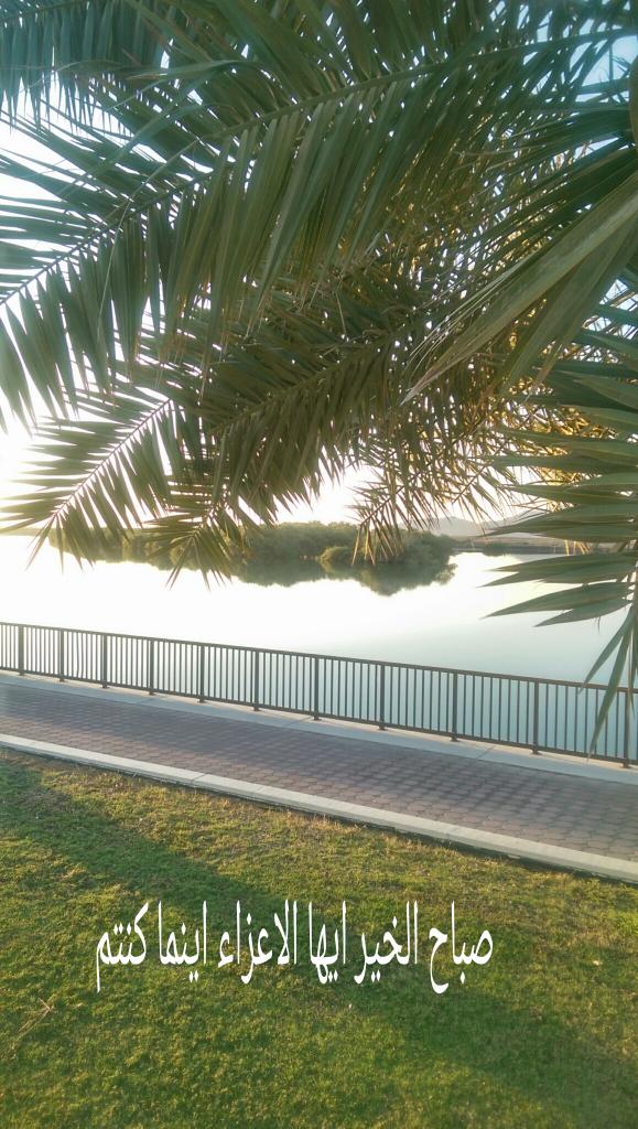 busultan2002's tweet image. 