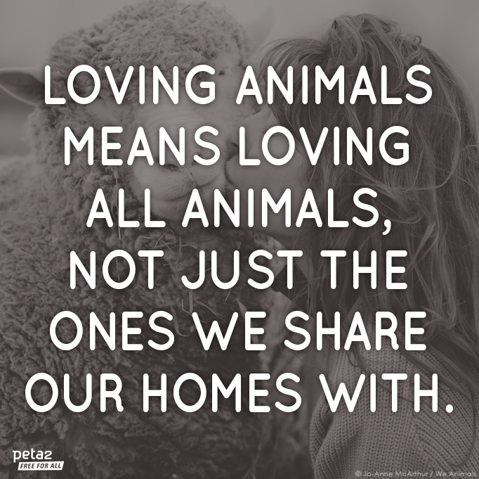 PETAShares's tweet photo. RT if you have room in your ❤️ for ALL animals! http://t.co/Pl1ILBvpjH