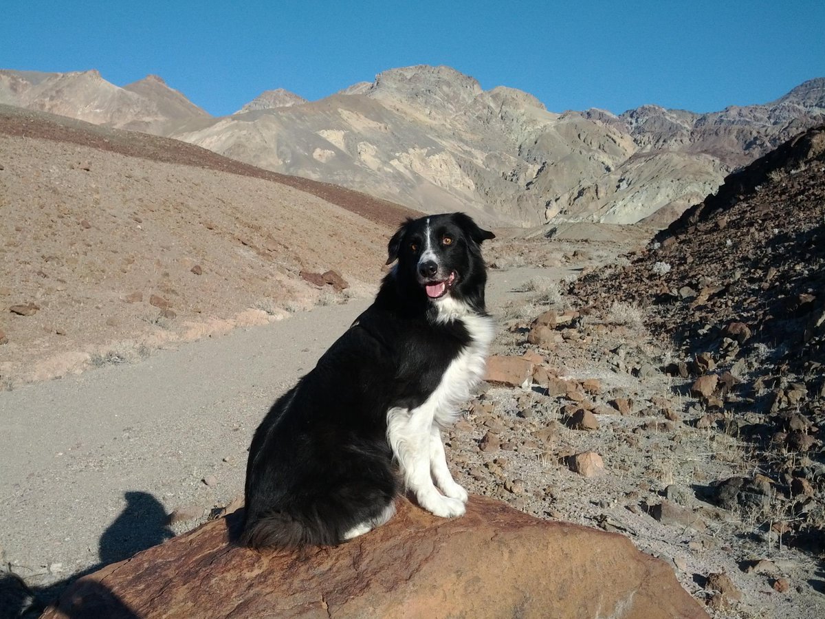 Just love Death Valley this time of year