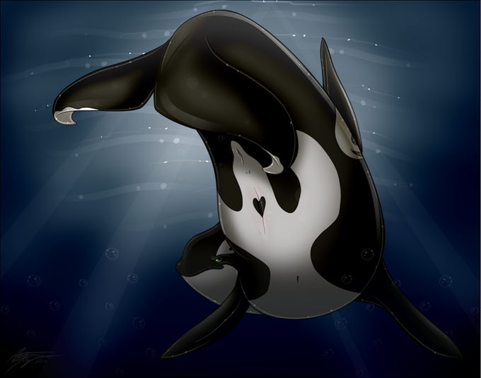 2014-12-23. Got my drawing groove back, I think... at least when orca are i...