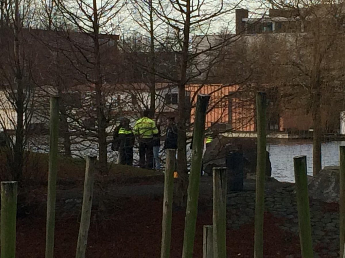 In het water vlakbij het Olympisch Stadion heeft de politie vanochtend een lichaam gevonden at5.nl/artikelen/1387…